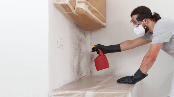 Professional Mold Inspection And Testing technician working in West Roxbury, MA
